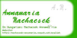 annamaria machacsek business card